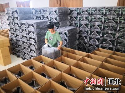 河北白溝 箱包業與化妝品產業協同發展，上半年收入達73.76億元